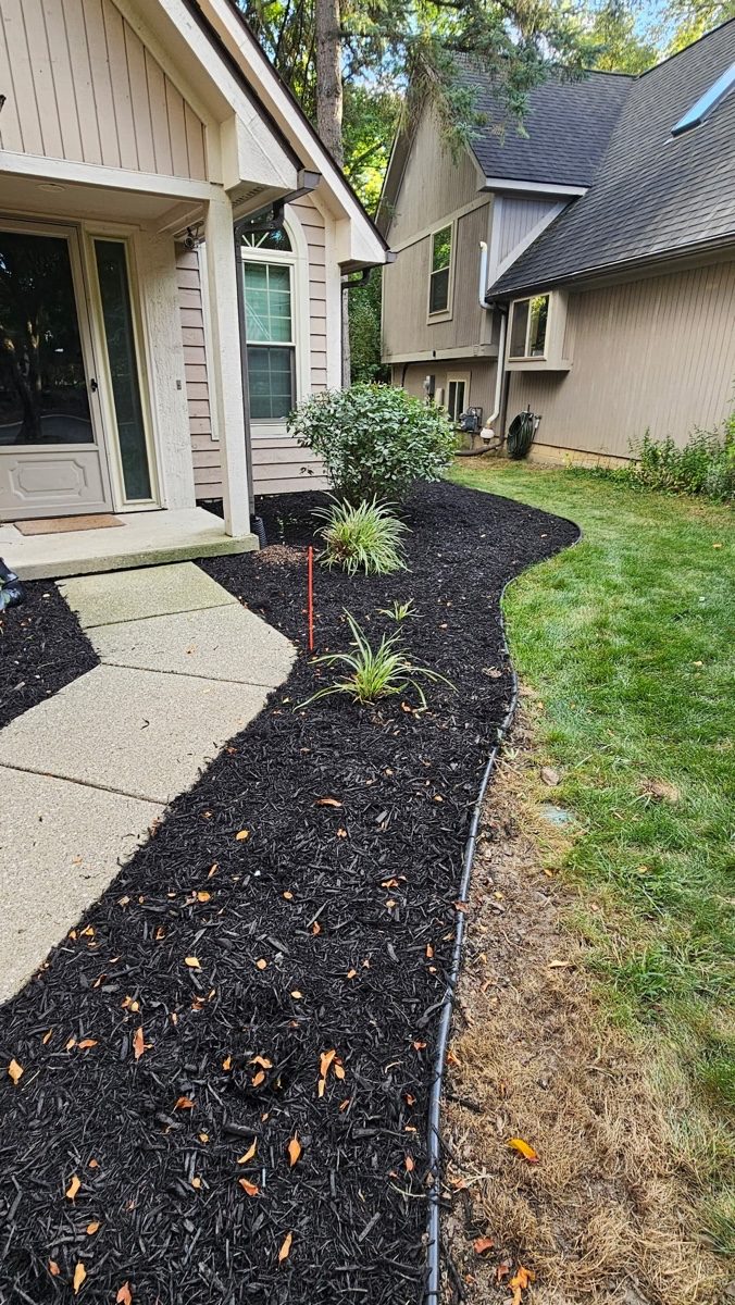 Freshly mulched and edged beds maintained by XXX Landscape
